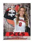 KHS Senior Volleyball Banners